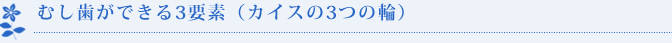 むし歯ができる3要素（カイスの3つの輪）