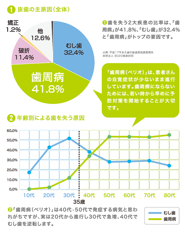 年齢に合わせて歯ブラシを替えましょう
